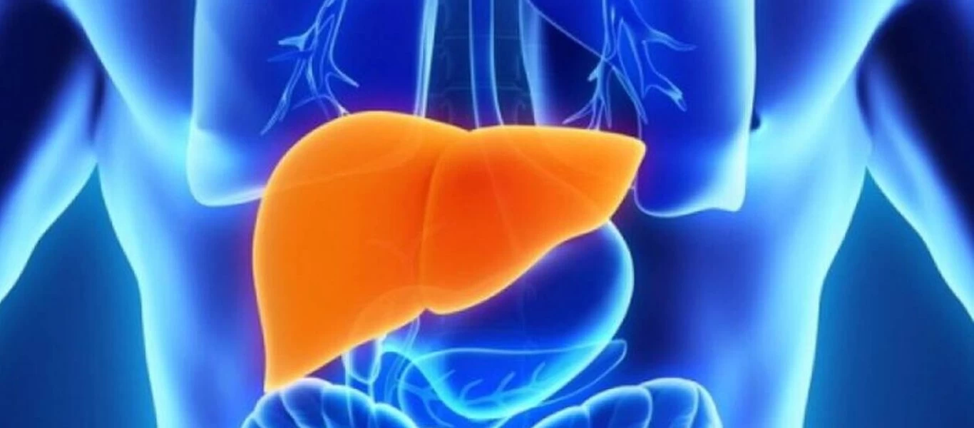 «Καθαρίστε» το συκώτι σας εύκολα και γρήγορα με αυτόν τον φυσικό τρόπο